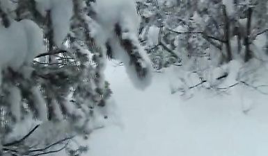 Избиение женской жопы розгами на снегу в лесу